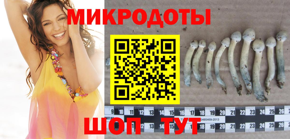 Псилоцибиновые грибы Psilocybine cubensis Чебоксары
