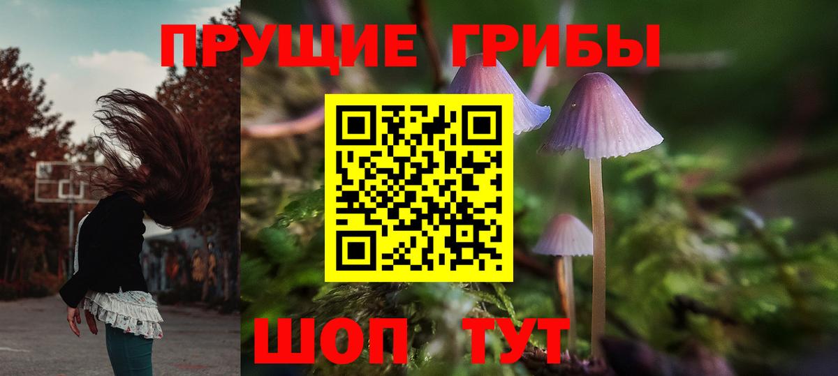 Псилоцибиновые грибы Psilocybe  Галлюциногенные грибы ЛСД  Вход с VPN  Чебоксары 